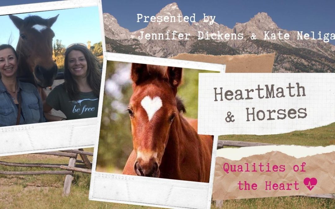 HeartMath & Horses – Qualities of the Heart